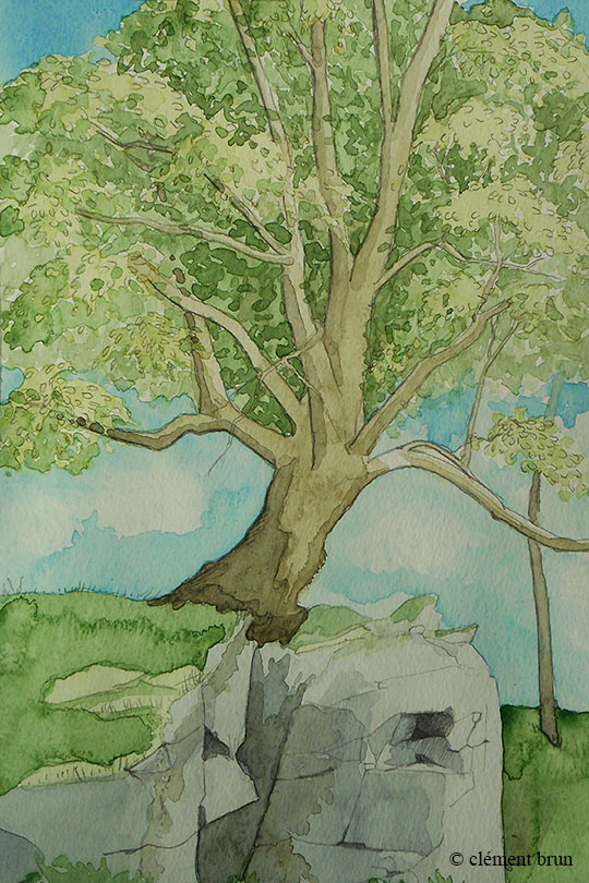 Arbre